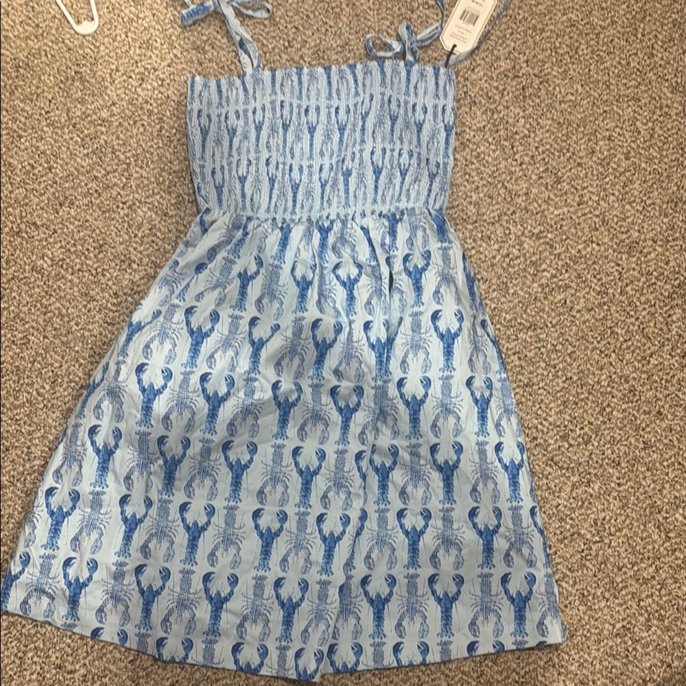 Classic Prep Blue and White Smocked Sundress